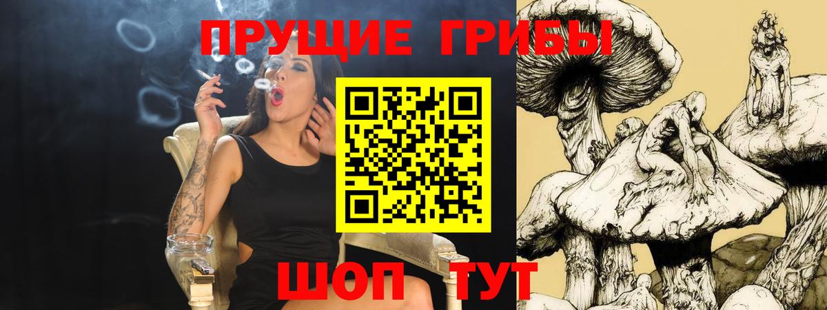 Галлюциногенные грибы ЛСД  Галлюциногенные грибы прущие грибы  Новочебоксарск  Вход с VPN 
